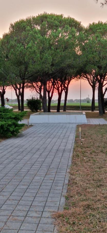 1-Zimmer Appartment In Aprilia Marittima Mit Gemeinschaftspool ภายนอก รูปภาพ